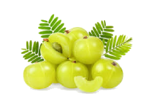 Gorochana